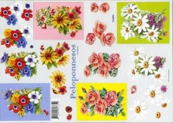 Blumen - Peloponnesos 76002